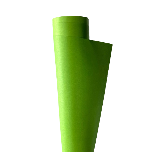 CARTULINA PLIEGO VERDE CLARO