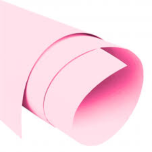 CART ESPAÑ PLGO ROSADO