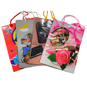 BOLSA REG CHICA SURTIDA