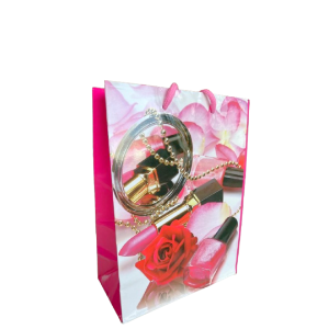 BOLSA REG CHICA MUJER