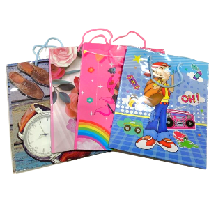 BOLSA REG MEDIANA SURTIDA
