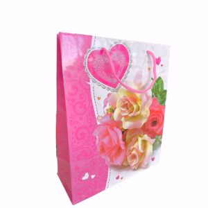 BOLSA REG MEDIANA MUJER