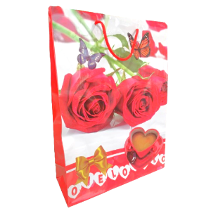 BOLSA REG GRANDE MUJER