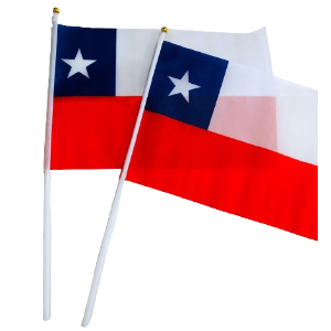 BANDERA C/ PALITO